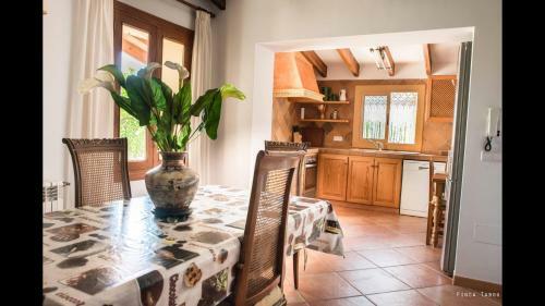 Villa Can Tabou With Pool In Mallorca