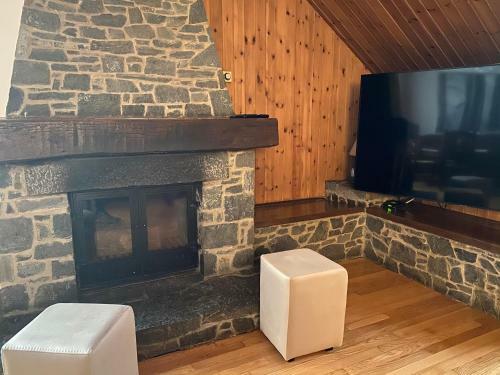 Villa El Niu De L?�guila (camprodon)