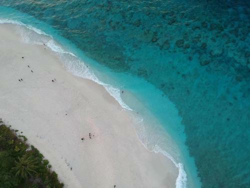 Hostal Tiger Shark Residence & Dive