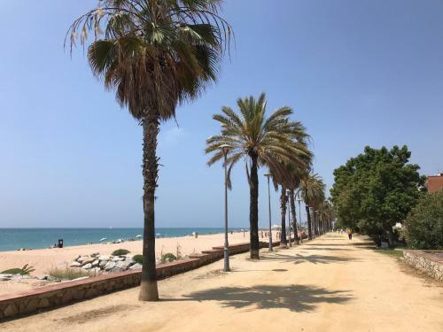 Apartamento Frente Al Mar