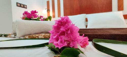 Hostal Equator Holiday Inn