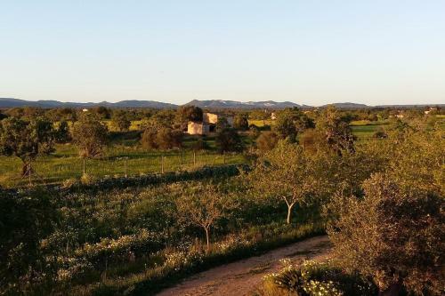 Finca Maravillosa Vista