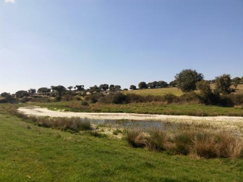 Hostal Pensi�n El Abuelo