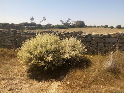 Hostal Pensi�n El Abuelo