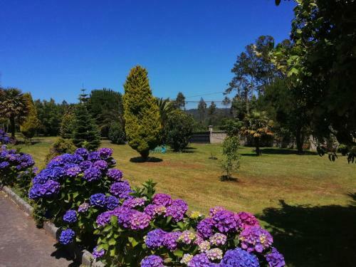 Apartamentos Tur�sticos San Breixo