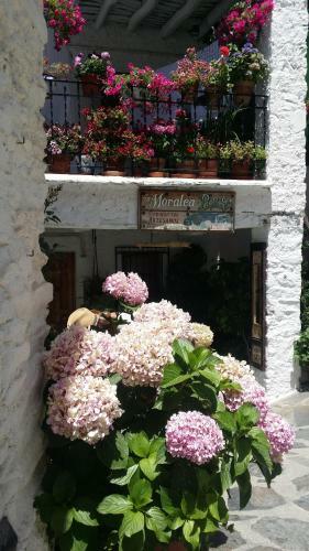 Casa Nicolasa