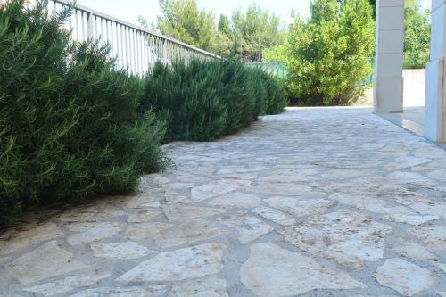 Apartments Maras