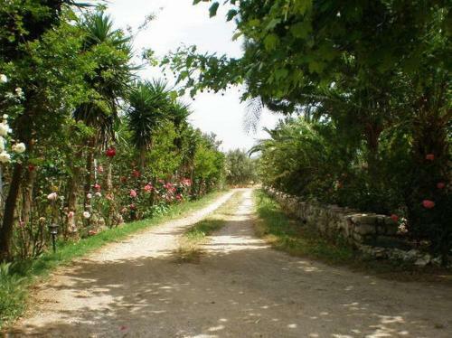 Apartamento Sani Kasimis