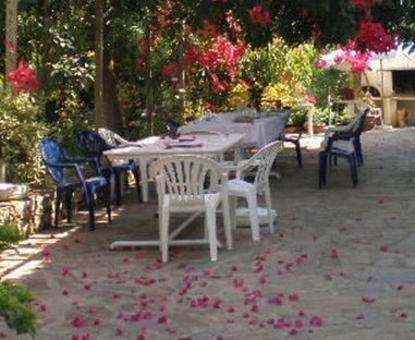 Apartamento Sani Kasimis