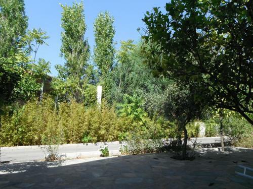 Mandorla Apartments