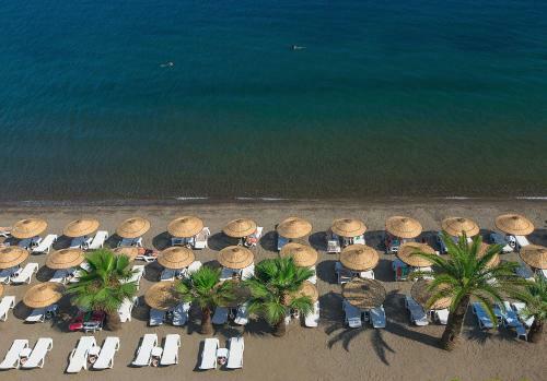 The Beachfront Hotel