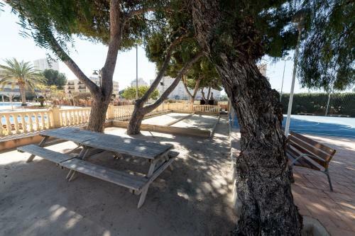 Moonkey - Apartamento Las Lanzas
