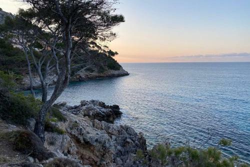 Apartment 1b With Pool , 150 Meters Canyamel Beach
