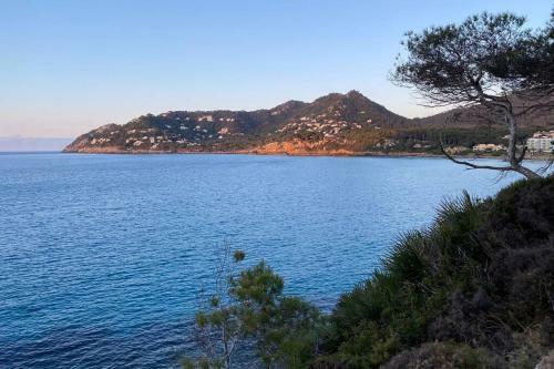 Apartment 1b With Pool , 150 Meters Canyamel Beach