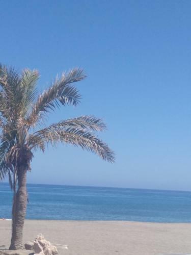 Apartamento Carbom�gina