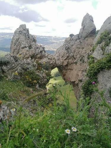 Apartamento Sierra De Las Nieves