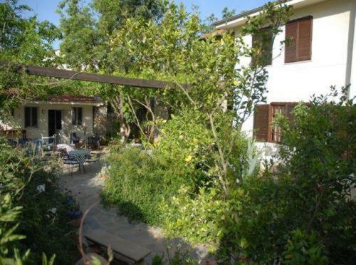 Hostal Misafir Evi