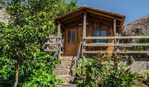 Hostal Agora Pansiyon