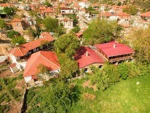 Hostal Agora Pansiyon