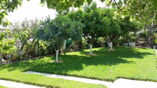 Makis Studios & Apartments