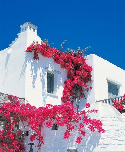 Hotel Yria Resort