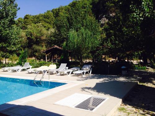 Hostal Olympia Hotel