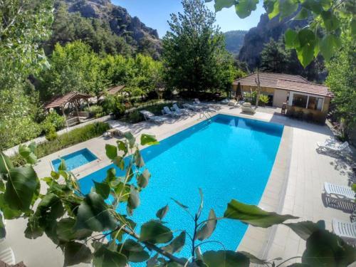 Hostal Olympia Hotel