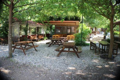 Hostal Olympia Hotel