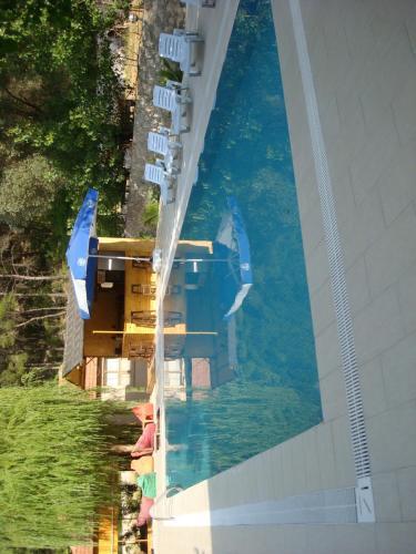 Hostal Olympia Hotel