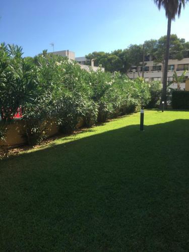 Apartamento Antonia, Fiber Internet