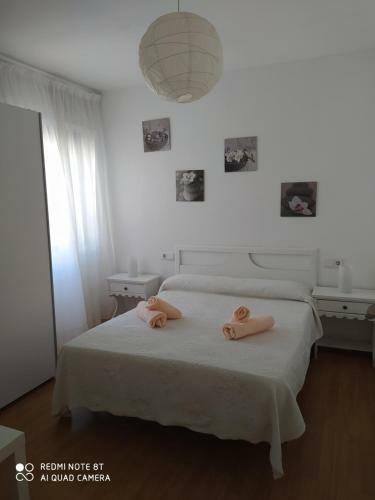 Apartamento Torremares 6