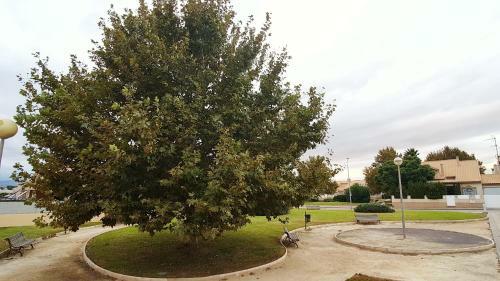 Apartamento Buhardilla Nuria