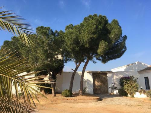 Bed & Breakfast Torre De La Campana