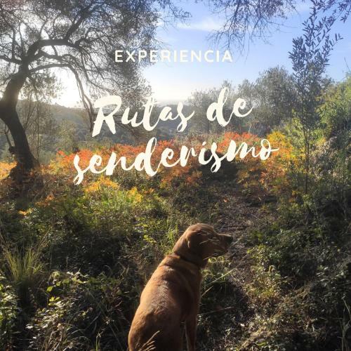 El Hogar De Luc�a