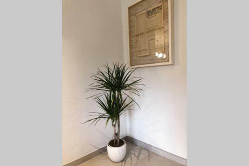 Casa Daniela
