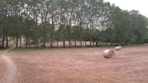 Casa Campo Castellitx
