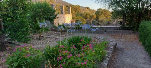 Casa Campo Castellitx