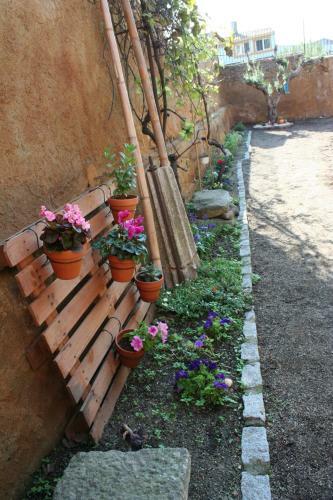 Ca L'�via Remei