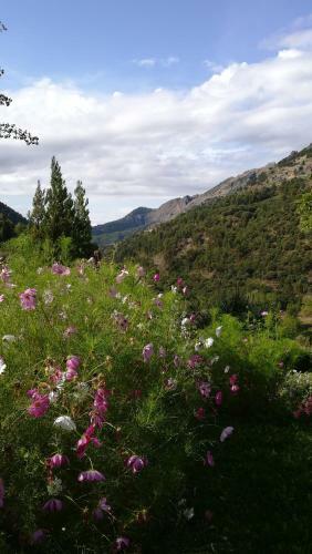 Agroturismo Saluda Alta