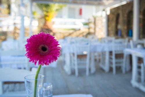 Apartamento Villa Irini