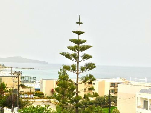 Elizabeth Suites