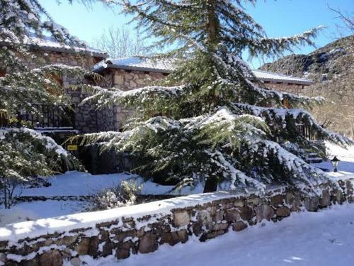 Apartamento Andrea Sofi Guesthouse