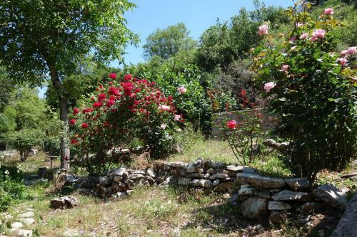 Apartamento Andrea Sofi Guesthouse