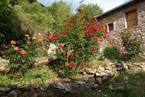 Apartamento Andrea Sofi Guesthouse