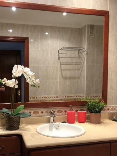 Apartamento Urban Home Cotolino