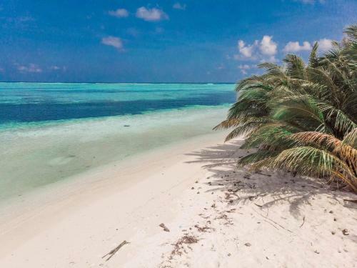 Hostal Veyvah Inn Maldives
