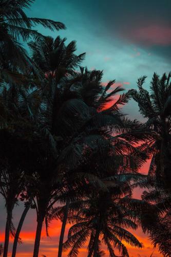 Hostal Veyvah Inn Maldives