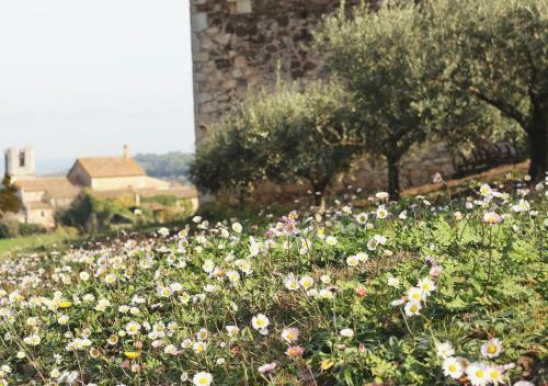 Agroturismo Can Gich Espacio Rural