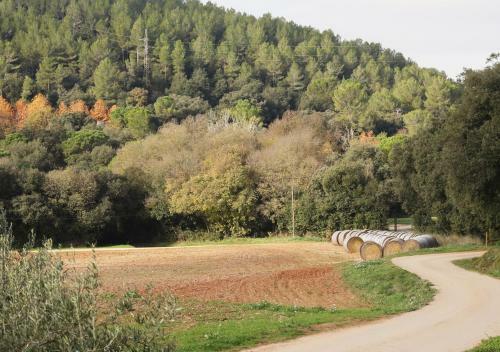 Agroturismo Can Gich Espacio Rural