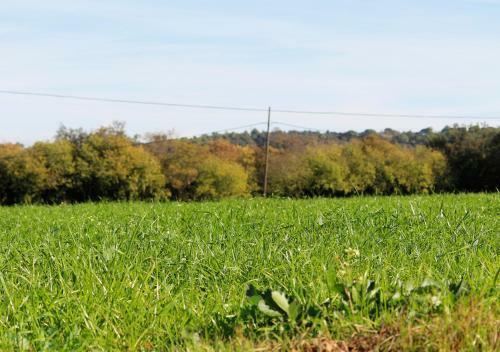 Agroturismo Can Gich Espacio Rural